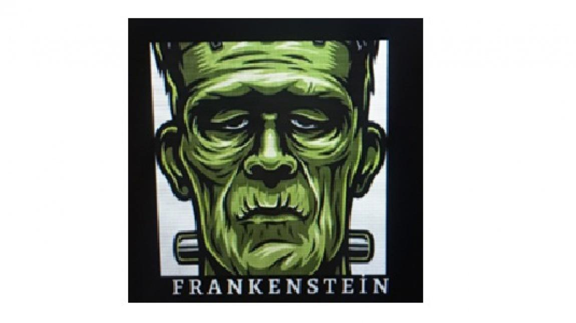 CREATIVE READING - Frankenstein